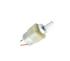 Gear Motor 100 RPM